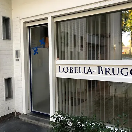 Lobelia-brugge Brugge